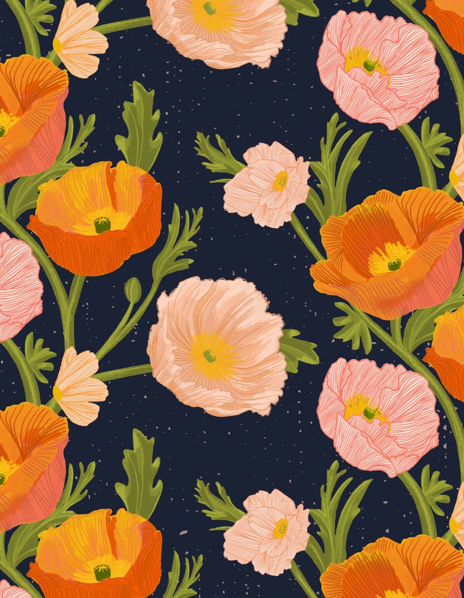 Orange Poppies
