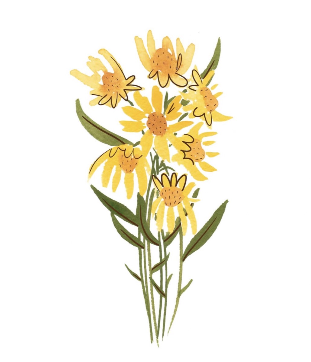 Yellow Flowers
