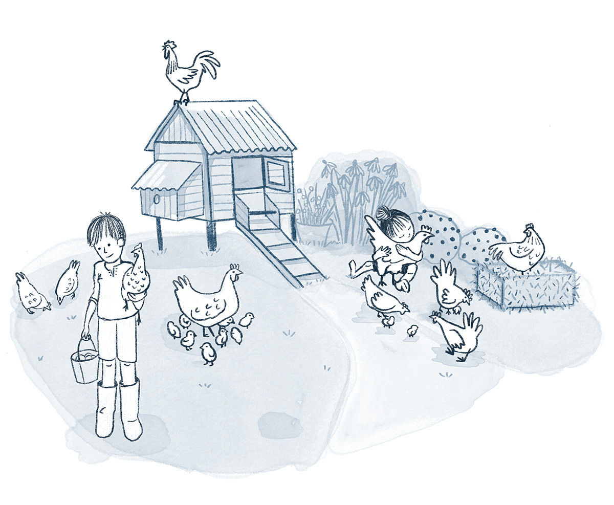 Chicken Coop Farm sketch